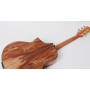 Ibanez EW50SME-NT Elektro Akustik Gitar
