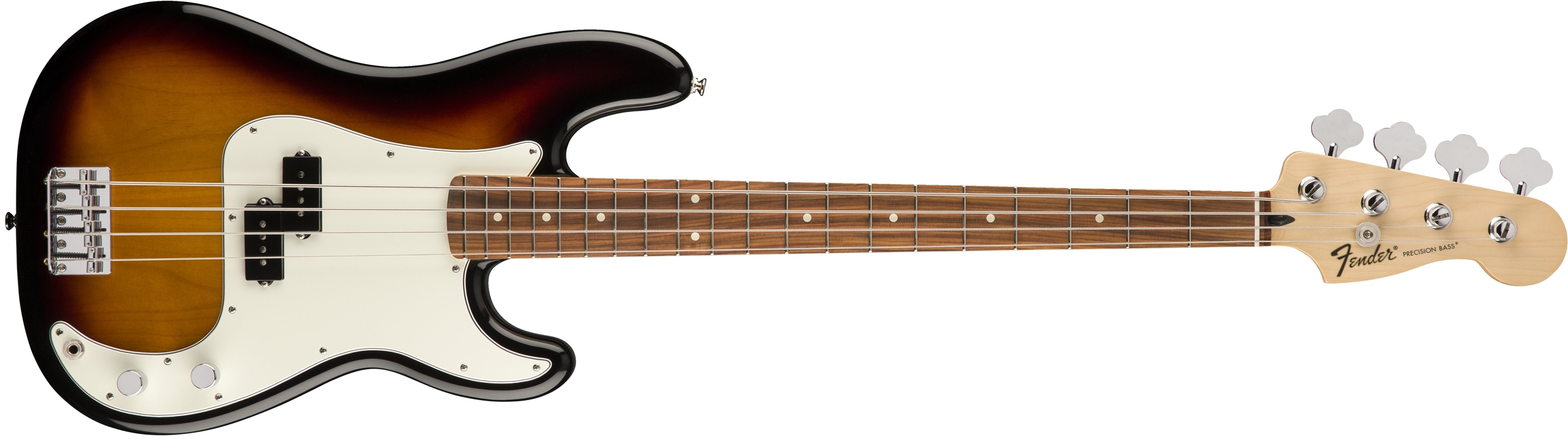 strat without pickguard