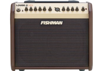 Fishman Loudbox Mini - Akustik Gitar Amfisi