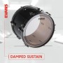 Evans Edge Control EC2 Clear ETP-EC2SCLR-F Fusion Head Set Tom Derisi Seti
