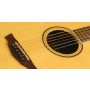 Cort Parkwood PW410 NS - Naturel Satin Akustik Gitar