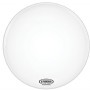 Evans EQ1 Coated White 20 inch - BD20RACW Bas Davul Ön Derisi