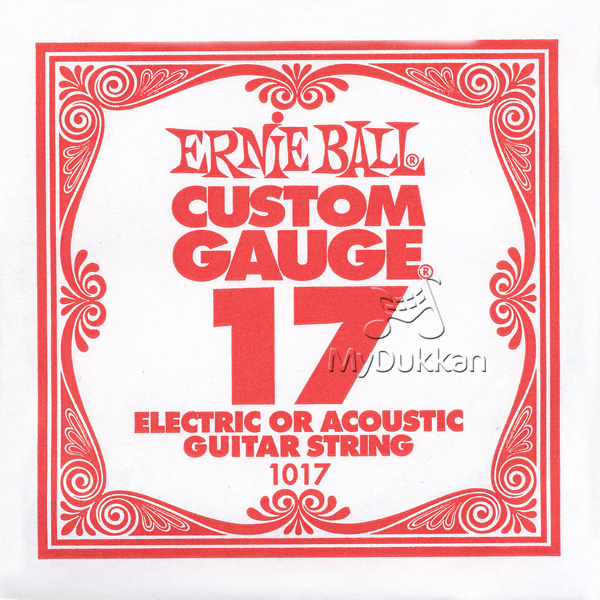 Ernie ball store single strings 009