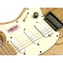 Cort G-VT BOP Elektro Gitar