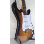 Jay Turser JT-300 TMG - Trans Moss Green Elektro Gitar