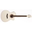Jay Turser JTA-424QCET WHT - White