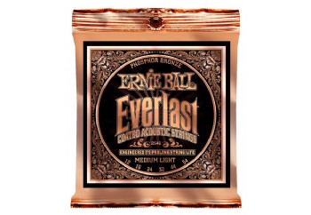 Ernie Ball 2546 Everlast Phosphor Takım Tel - Akustik Gitar Teli 012-054