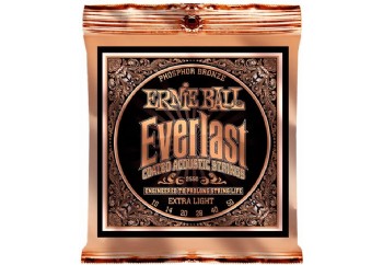 Ernie Ball 2550 Everlast Phosphor Takım Tel - Akustik Gitar Teli 010-050