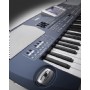 Korg PA500-ORT 61 Key Arranger Oriental Org - 61 Tuş