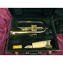 Bach FH200 Flugel Horn