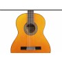 Raimundo 126 Flamenco Profesor Series Flamenko Gitar