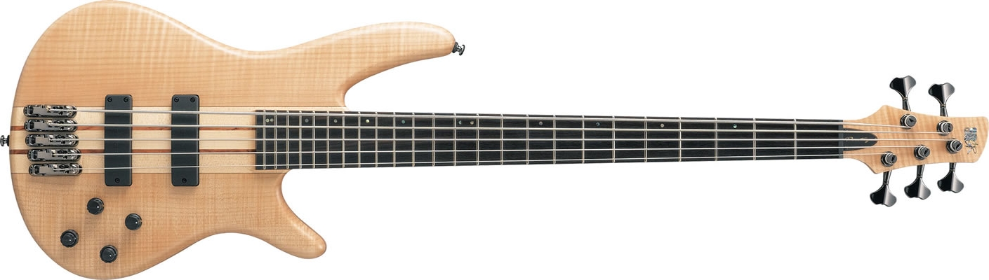 ibanez sr1005