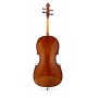 Stentor 1102 Cello Student I 4/4 (Yetişkinler İçin) Çello