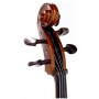 Stentor 1102 Cello Student I 4/4 (Yetişkinler İçin) Çello