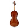 Stentor 1108 Cello Student II 4/4 (Yetişkinler İçin) Çello