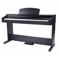 Medeli DP 250 Venge