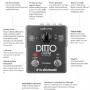 tc electronic Ditto X2 Looper Loop Pedalı