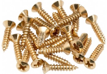 Fender Pickguard Mounting Screws Gold - Pickguard Vidaları (24 Adet)