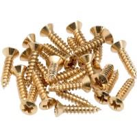 Fender Pickguard Mounting Screws Gold
