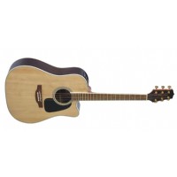 Takamine GD51CE NS - Satin