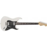 thumb200200_Fender.