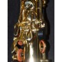 Roy Benson AS-202 Alto Saksofon