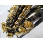 Roy Benson AS-202K Alto Saksofon