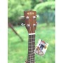 Kala KA-C Concert Ukulele - Satin Concert Ukulele