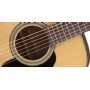 Takamine GD10 NS - Naturel Satin Akustik Gitar