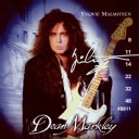 Dean Markley Yngwie's Magic 8811 (008)