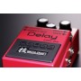 Boss DM-2W Waza Craft Delay Pedalı