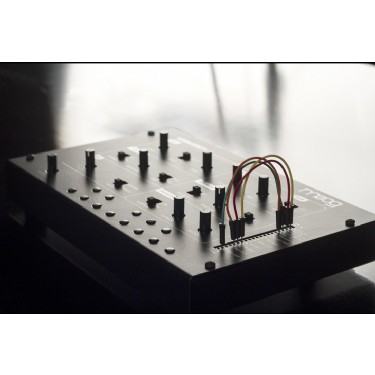 Moog Werkstatt Analog Synthesizer