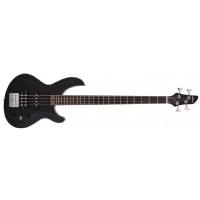 Aria IGB-STD MBK - Metallic Black