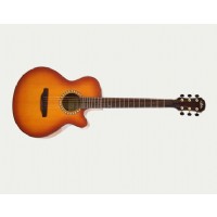 Aria TG-1 LVS - Light Vintage Sunburst
