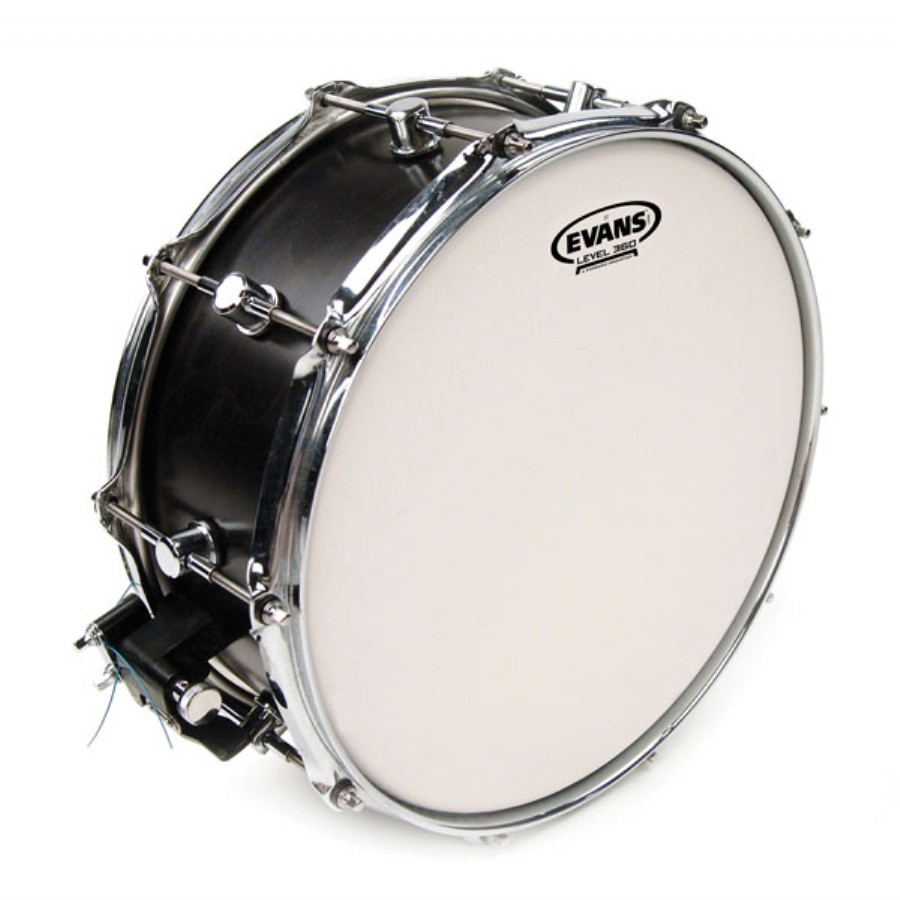 Evans ST (Super Tough) 14 inch - B14ST Trampet Derisi