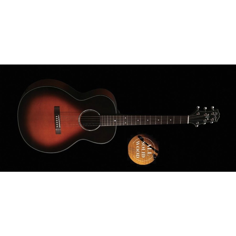 Peerless PGC65E Elektro Akustik Gitar