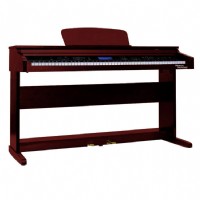 Manuel Raymond MRP688 Ceviz