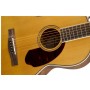 Fender Paramount Series PM-2 Standard Parlor Natural Elektro Akustik Gitar