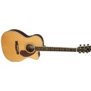 Fender Paramount PM-3 Deluxe Triple 0 Natural