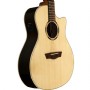 Washburn Woodline 20 Series WLO20SCE Elektro Akustik Gitar