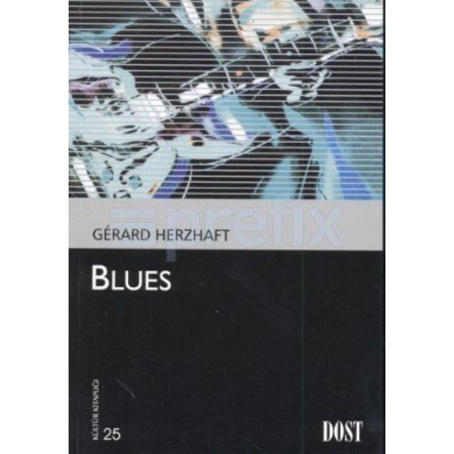 Blues Kitap Gerard Herzhaft