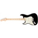 Fender American Professional Stratocaster Left-Hand Black - Maple