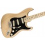 Fender American Professional Stratocaster Sonic Gray - Rosewood Elektro Gitar