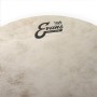 Evans Calftone 13 inch - TT13C7 Tom/Trampet Derisi