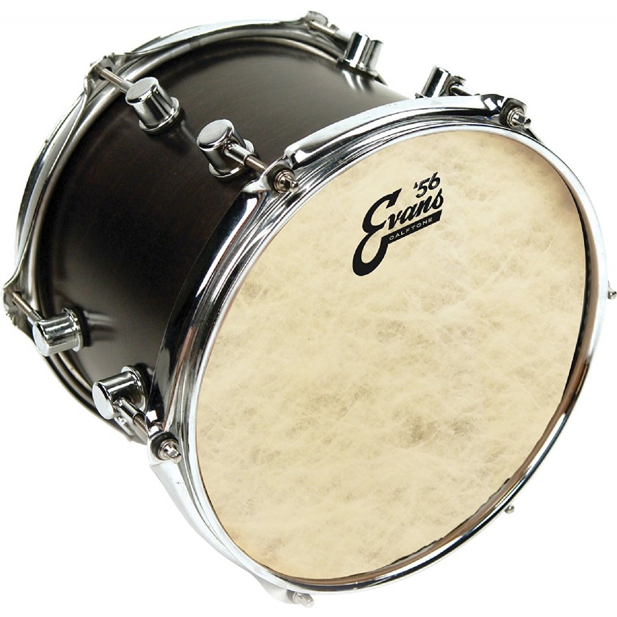 Evans Calftone 13 inch - TT13C7 Tom/Trampet Derisi