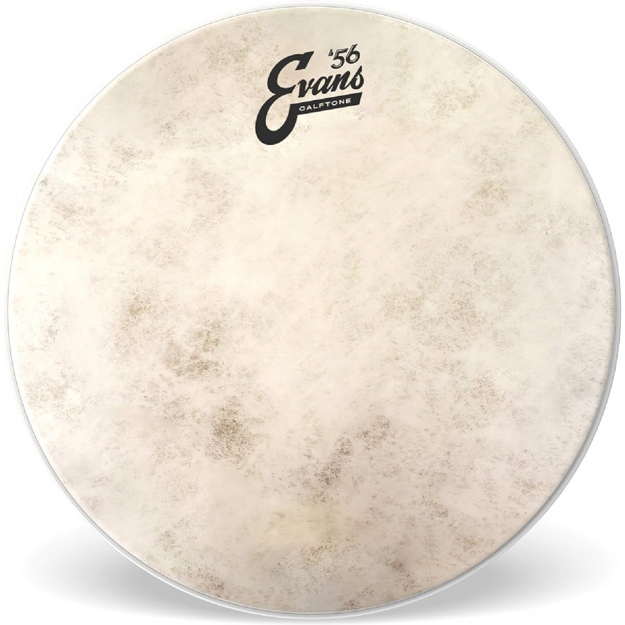 Evans Calftone 13 inch - TT13C7 Tom/Trampet Derisi