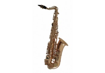 C.G. Conn AS655 - Alto Saksofon (Çocuklar İçin)
