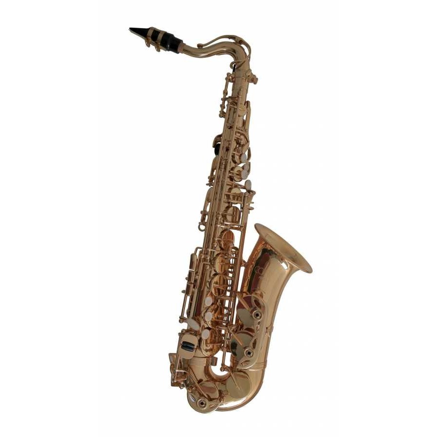 C.G. Conn AS655 Alto Saksofon (Çocuklar İçin)