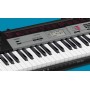 Casio CTK-1500 61-Key Keyboard 61 Tuş - Org