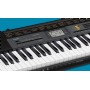 Casio CTK-2500 61 Tuş - Org